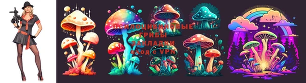 каннабис Абинск