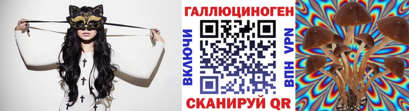 Псилоцибиновые грибы Magic Shrooms  наркошоп  Шарья 